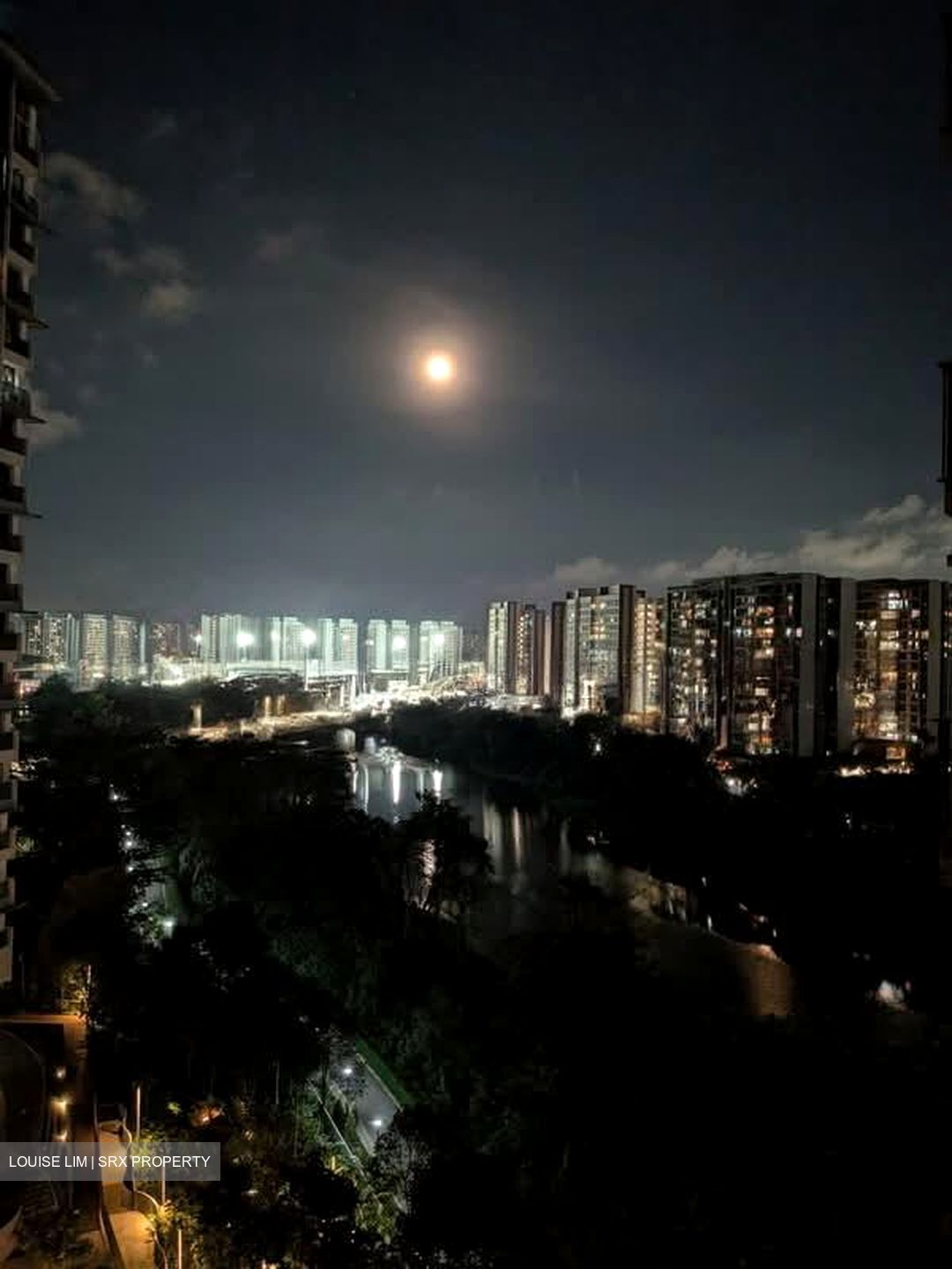 Rivertrees Residences (D28), Apartment #573669521